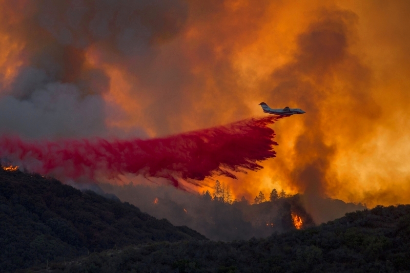 أكثر من 100 حريق غابات ضخم