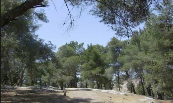 اتفاقية بين الزراعة والعمل الدولية