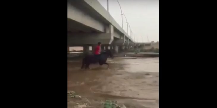 شاهد.. طريقة إنقاذ غريبة باءت بالفشل