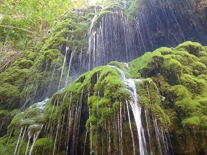 انقاذ 4 اشخاص ضلوا طريقهم في