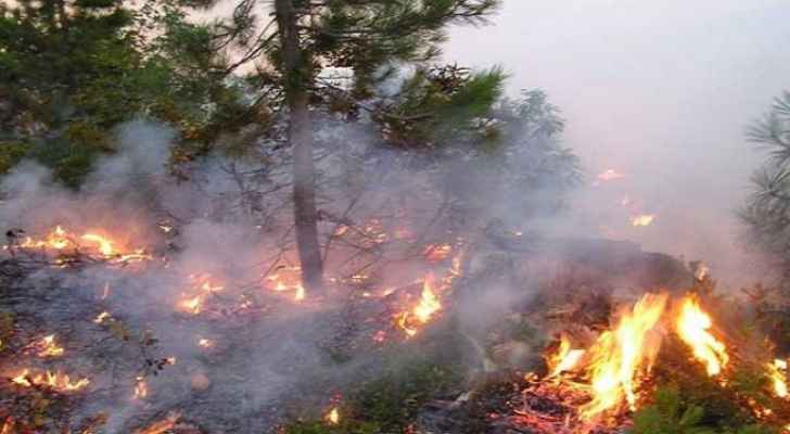 عجلون: حريق يأتي على 20 دونما