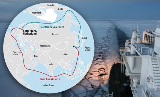 أكبر شركة شحن بحري في العالم