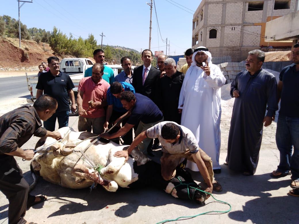 اضحيتان في جرش عن روح الملك