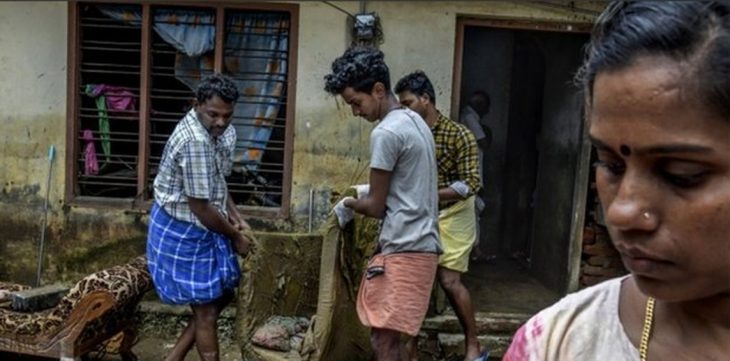 الأفاعي تغزو منازل الناجين من الفيضانات