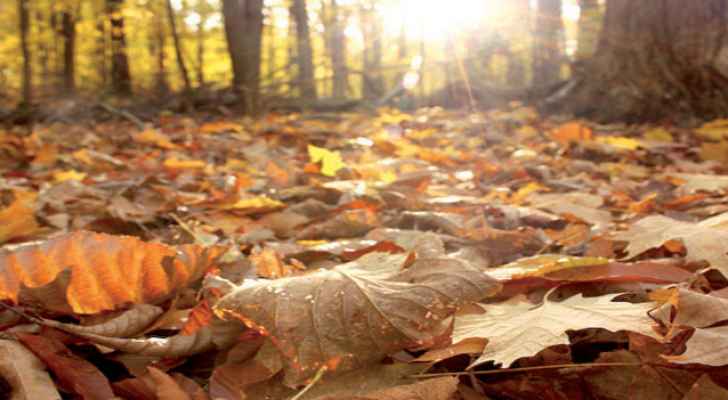 أيلول.. بين رحيل الصيف وبداية الخريف