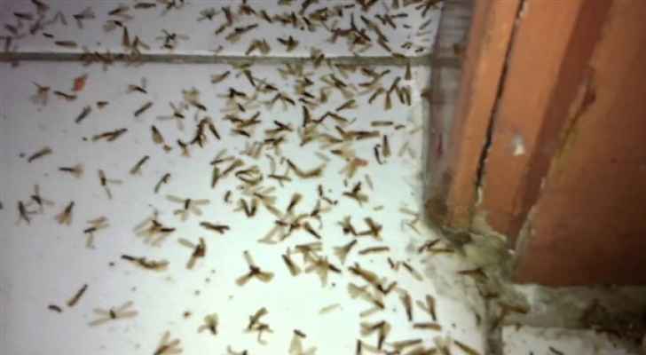 أكثر من 10 آلاف منزل تضررت