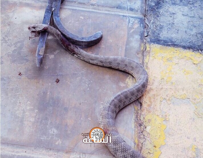 «مدني الطفيلة» يتعامل مع 15 حالة