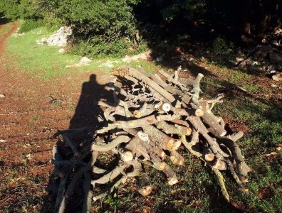 ضبط 3 اشخاص بحوزتهم طن من