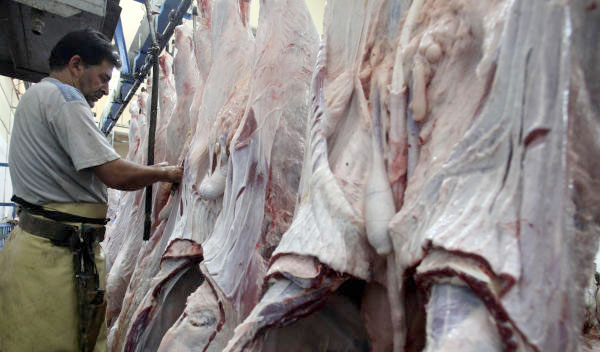 انشاء مسالخ في كافة محافظات المملكة