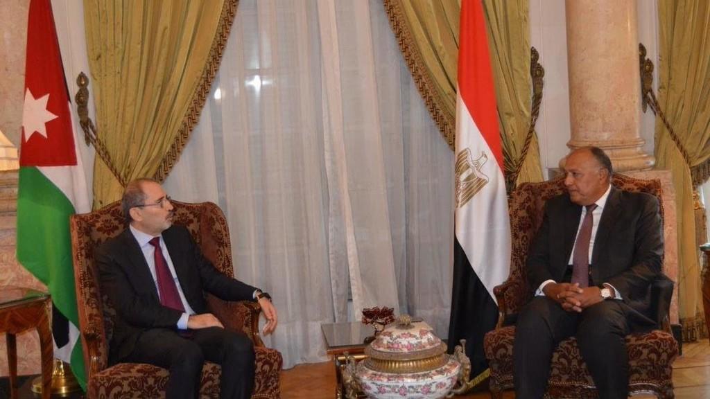 الصفدي يلتقي سامح شكري في القاهرة