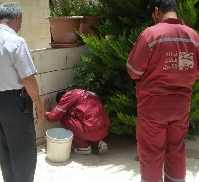 الأمانة تتعامل مع 36 الف طلب