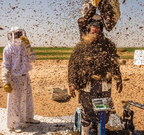 رجل سعودي يحاول كسر رقم غينيس