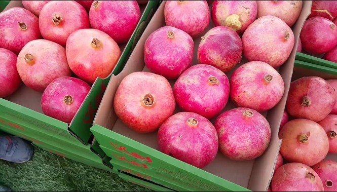 ضبط طن و 100 كغم رمان