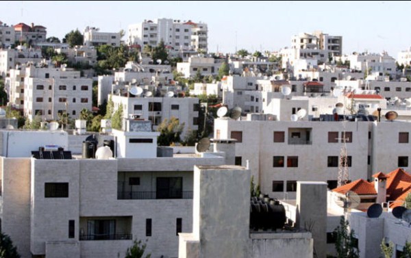 الأردنيون يقبلون على شراء الشقق «متوسطة