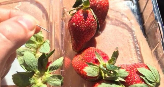 إبرة خياطة تدمر سوق الفراولة في