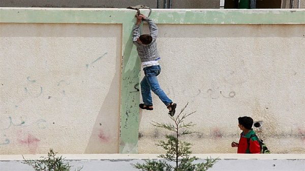 70 دينارا شهريا لكل أسرة تعيد