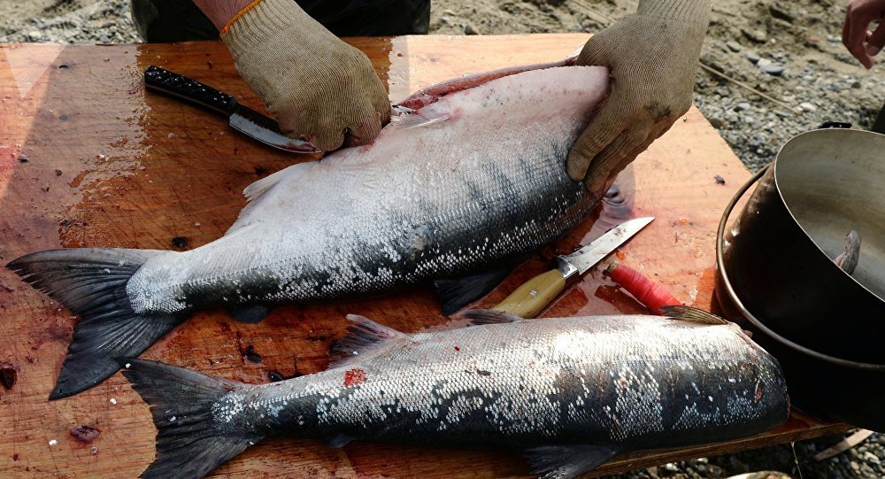 ما حقيقة خطورة تناول السمك مع