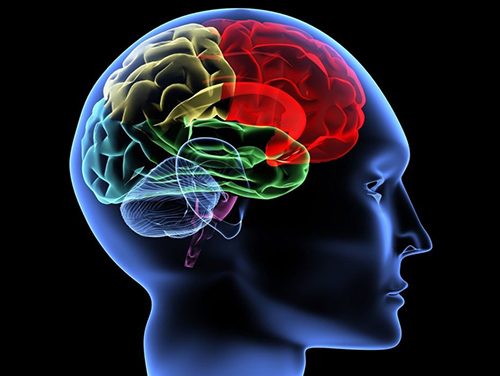 8 حقائق مثيرة لا تعرفها عن