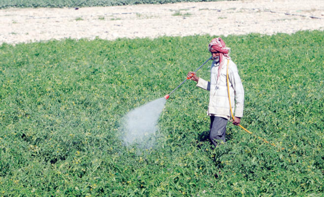 دراسة أساليب للحد من التغيرات المناخية