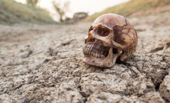 شرب الكحول سبب رئيسي للوفاة في