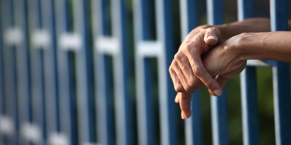 الإفراج عن رئيس بلدية الجيزة والاعضاء