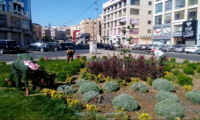 الأمانة: انجاز 75% من مشاريع الزراعة