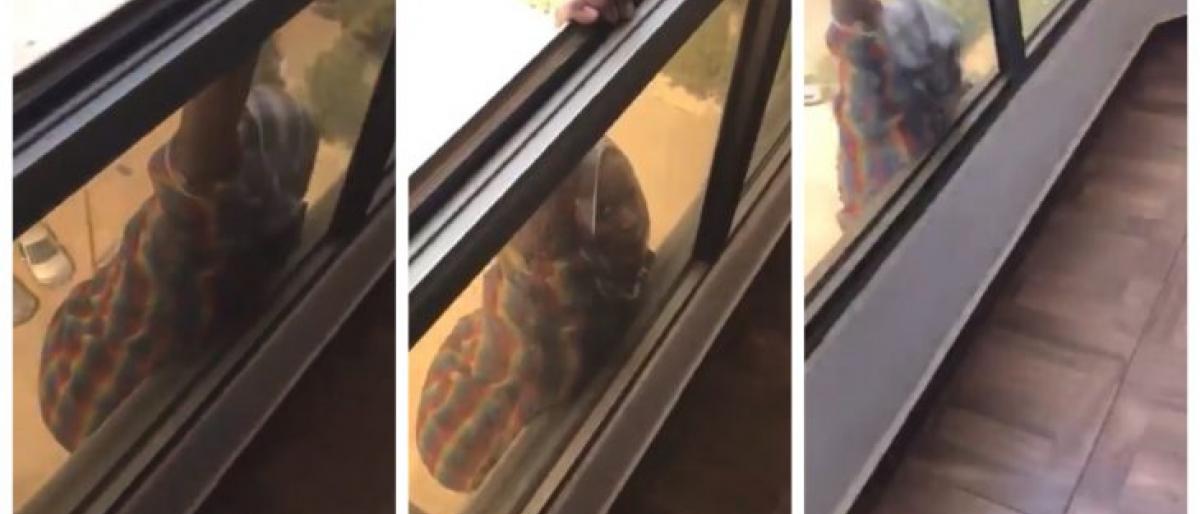 شاهد: السجن 20 شهرا لكويتية رفضت