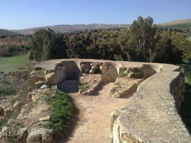 طواحين عدوان .. شاهد على الزمان