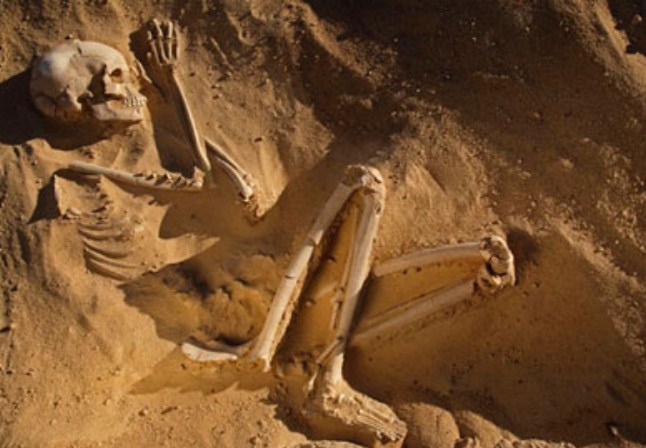 الطب الشرعي : العظام البشرية في