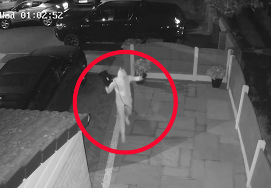 سرقوا سيارة في 60 ثانية.. وفيديو