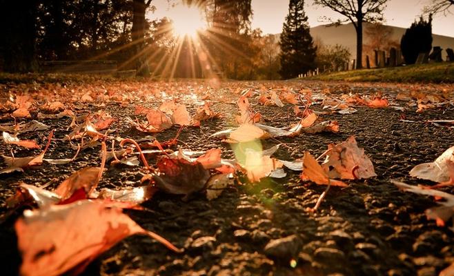 توالي انخفاض الحرارة وأجواء خريفية معتدلة