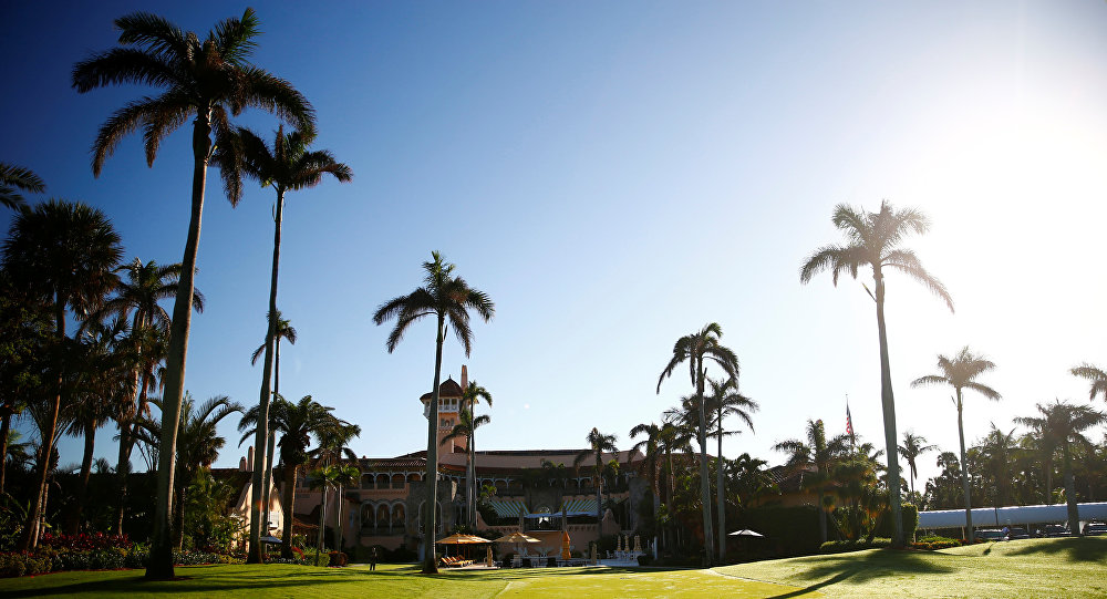 في دبي.. . النخل يثمر ’واي