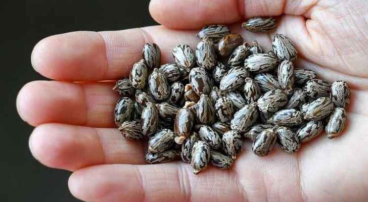 أمريكي يعترف بمحاولة تسميم بوتين