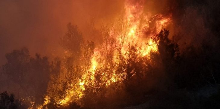 حريق يلتهم قرية كاملة في مصر..