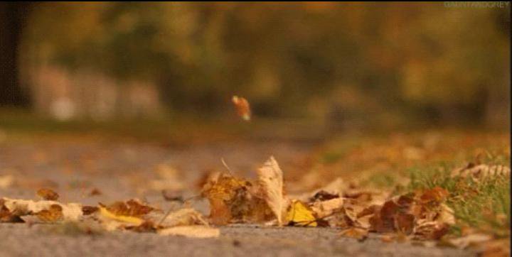 اجواء خريفية معتدلة الحرارة حتى الجمعة