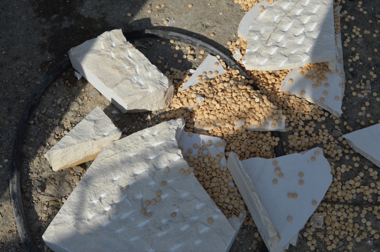 القبض على شخصين حاولا تهريب نصف