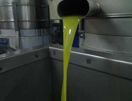 اغلاق معصرة زيتون في عجلون