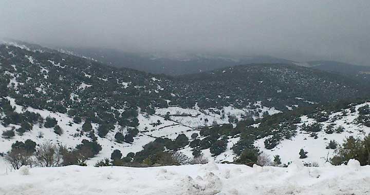 بدء تساقط الثلوج في عجلون
