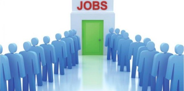 بلدية معاذ بن جبل توفر 350