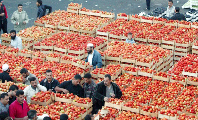 أسعار الخضار والفواكه اليوم