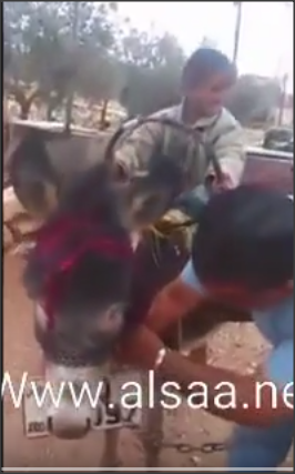 أردني يطلق أغرب مقاطعة للمحروقات (شاهدوا)