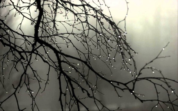 الأربعاء .. . فرصة محتملة لزخات