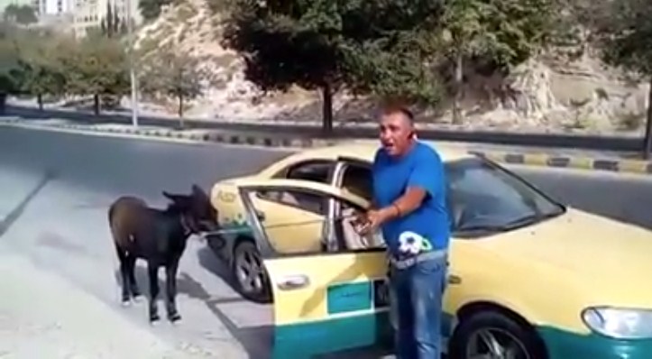 سائق تكسي يحتج ضد «تطبيقات النقل