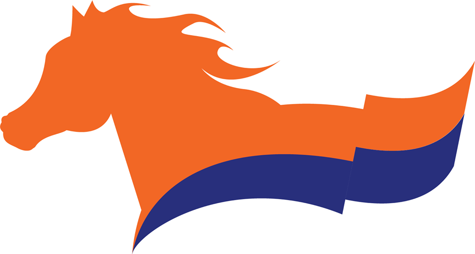 حزب التحالف المدني يدخل على خط