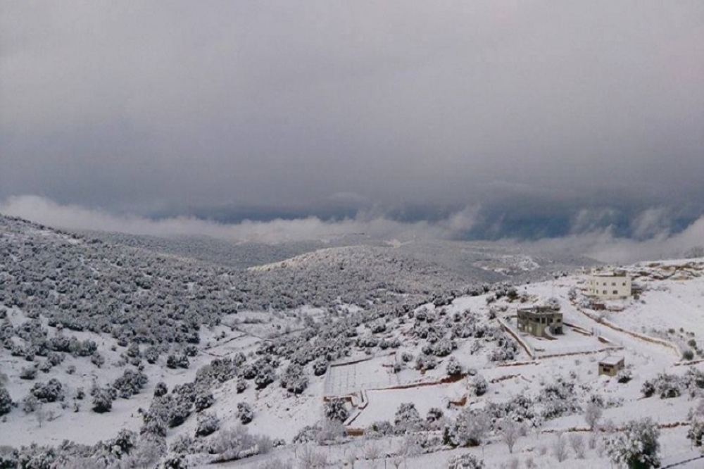 تواصل تساقط الثلوج في عجلون