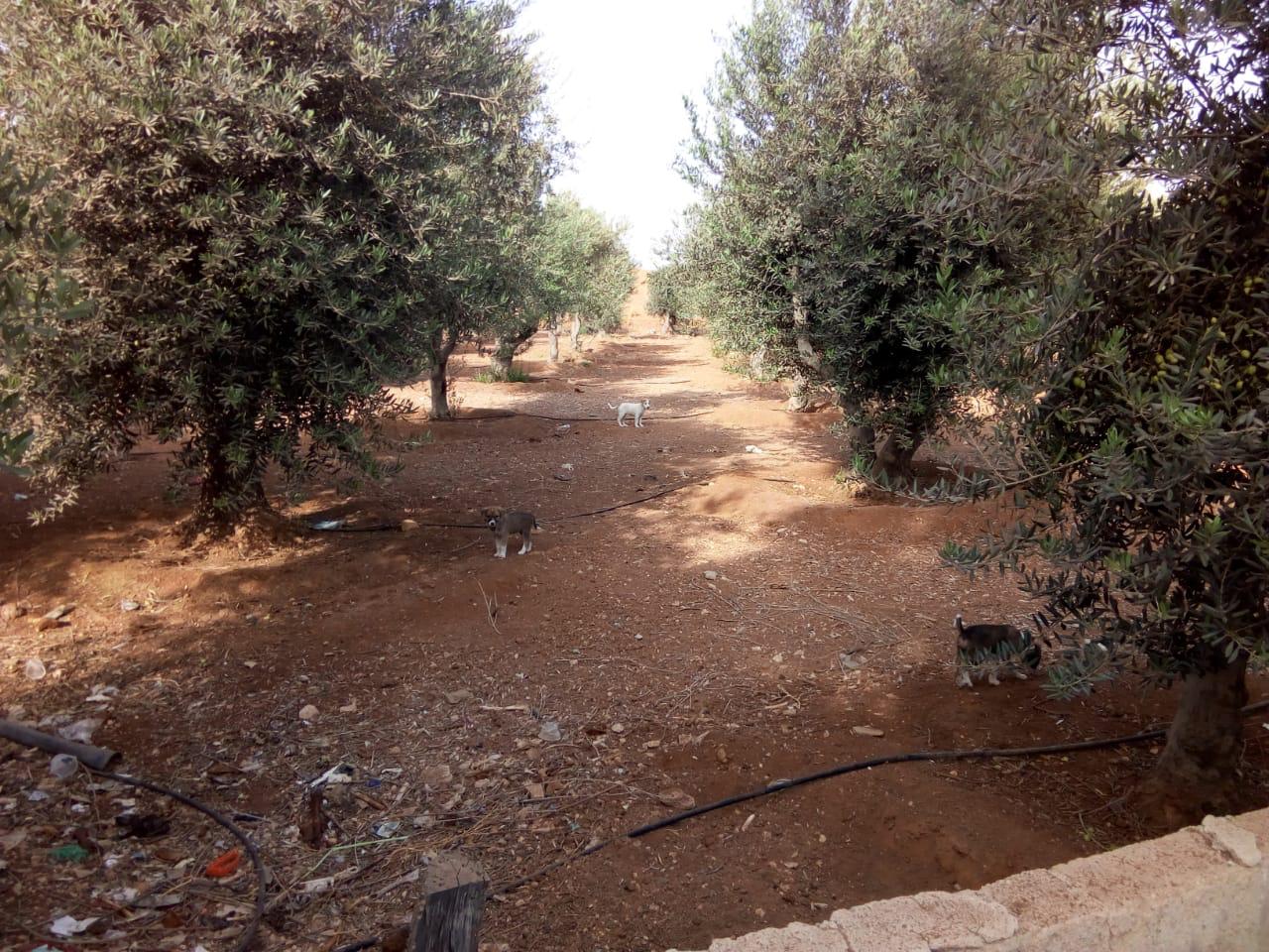 حملة للمياه تكشف عن اعتداءات لمزارع