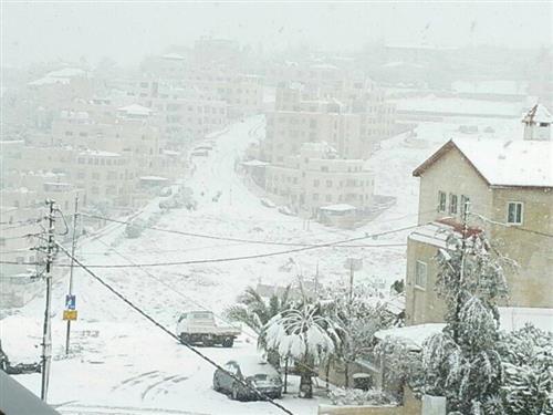 صناعة وتجارة عجلون تؤكد توفر كافة