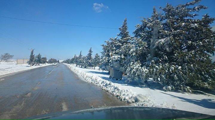 شاهدوا صور الثلوج في لواء الشوبك