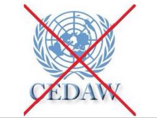 الحكومة : لا نية لرفع تحفظات