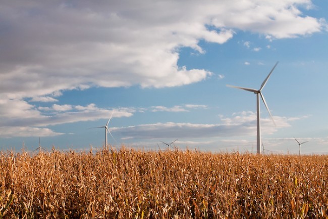 الشرقية الباردة تزور المملكة خلال الفترة